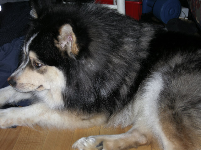 2011