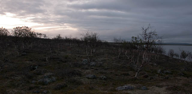 ilta
