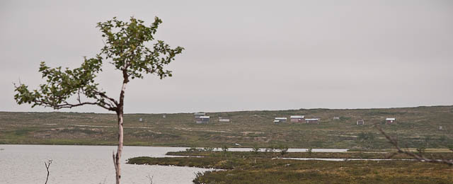 buksa
