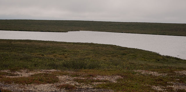 vustenjarvi
