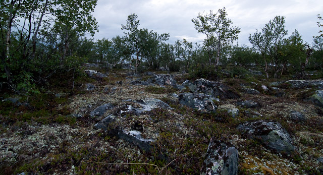 skaidissa