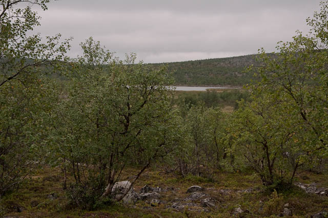 järvi