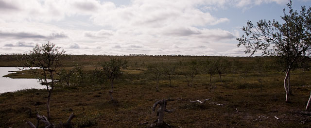 kotijärvi