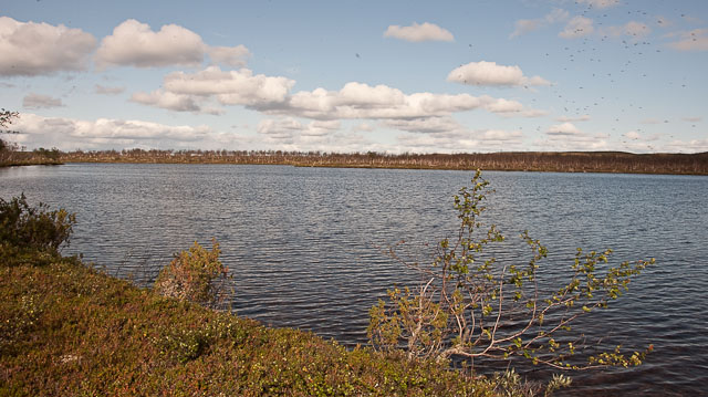 leirijärvi
