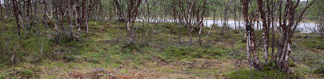 järvi