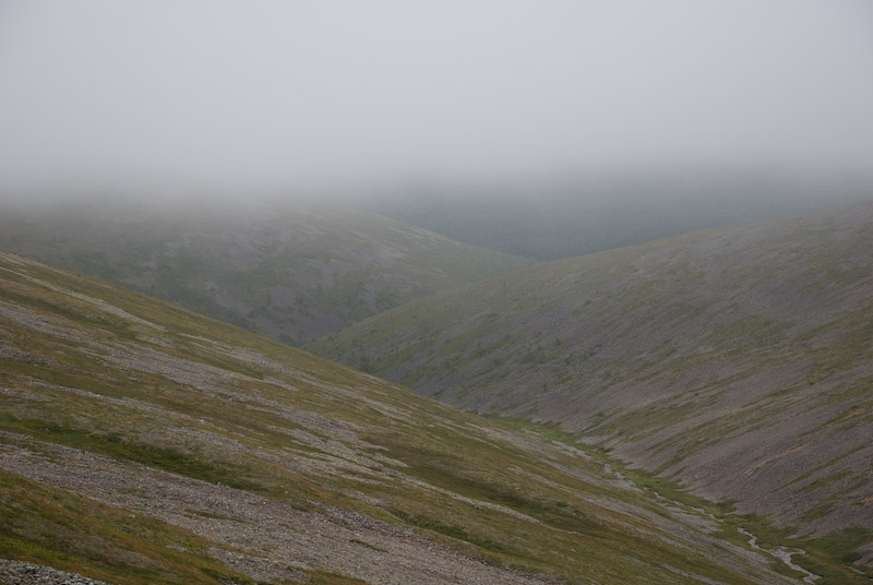 nil